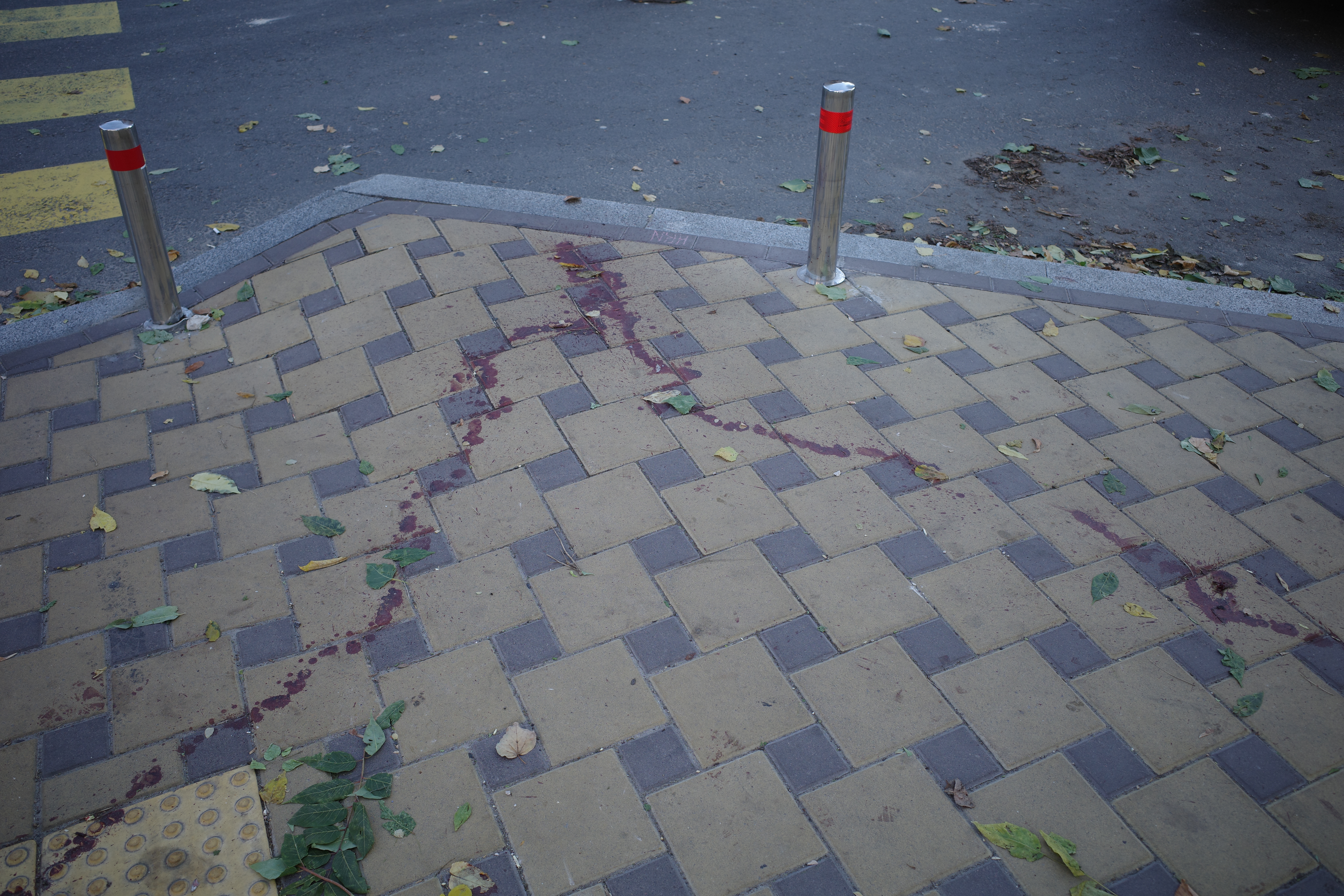 Blood on Pavement